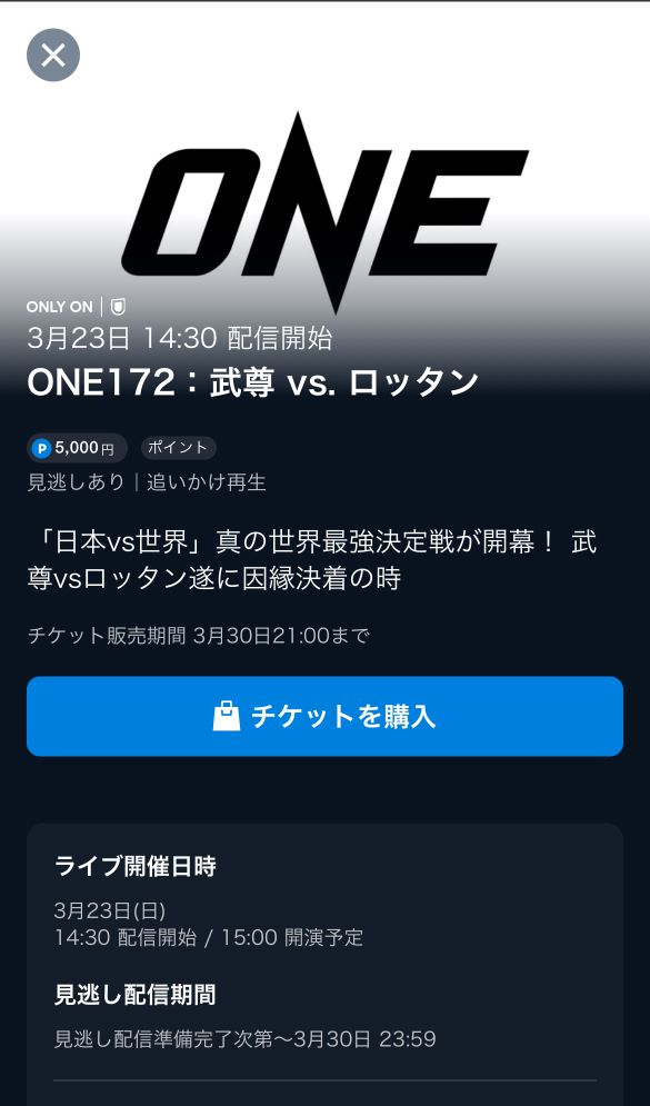 武尊vsロッタンPPV