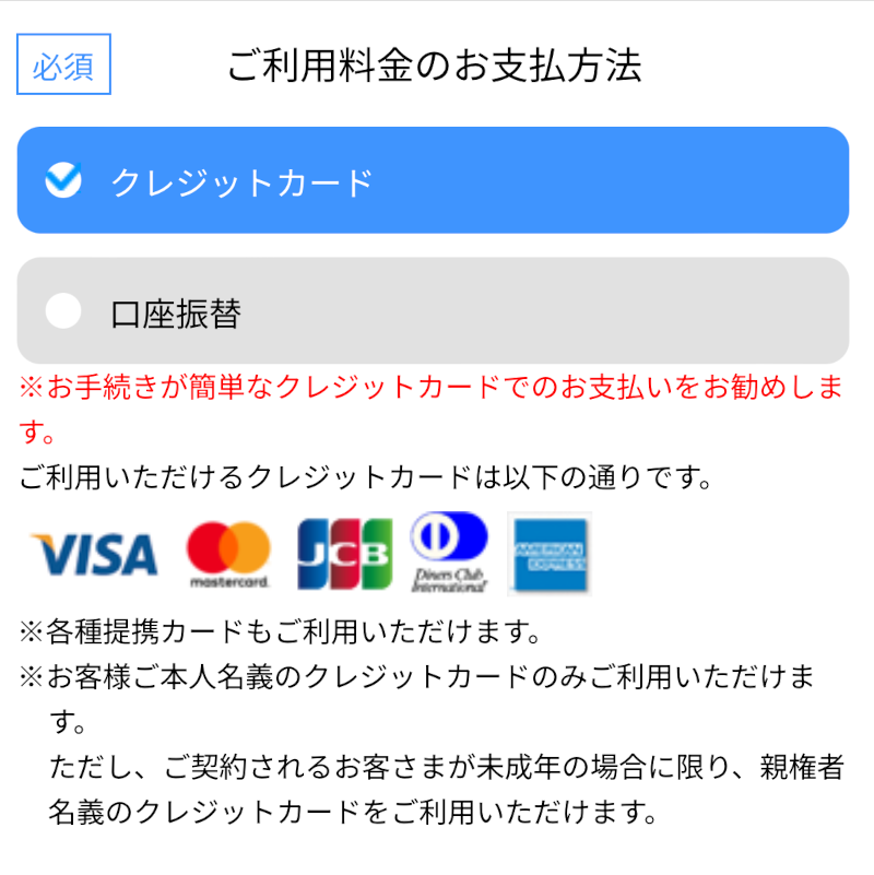 クレジットカード払い